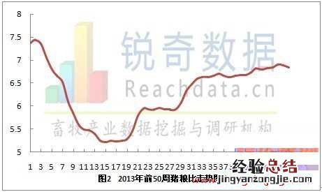2013年第50周猪粮比继续上周小幅震荡回落