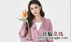 风衣的洗法 双层风衣怎么洗