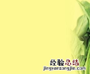 菠菜的营养价值和功效 菠菜的营养价值和功效作用
