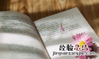 撒野是什么类型的书 快来这里了解下