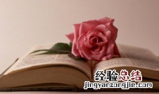 简单又高级的文案怀旧 怀旧的小众句子