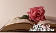 春运的煽情句子 有关春运的句子