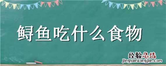 鲟鱼吃什么食物 淡水鲟鱼吃什么食物