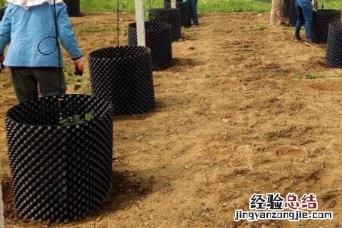 国家扶贫创业项目农村 农村创业扶贫项目有哪些