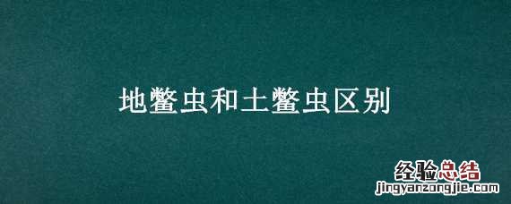 地鳖虫和土鳖虫区别图片 地鳖虫和土鳖虫区别