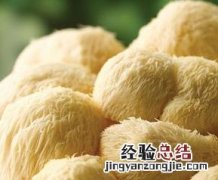 新鲜猴头菇的做法煲汤 新鲜猴头菇的做法