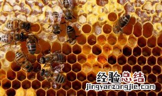 蜂巢糖怎么做窍门 蜂巢糖怎么做