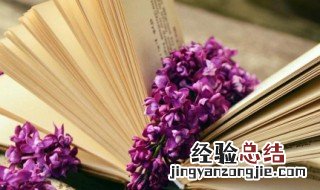 关于毕业的煽情句子 毕业的煽情句子有哪些