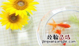 关于善良感人的句子 关于善良感人的句子英语