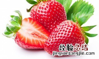 用茎繁殖的植物有哪些 用茎繁殖的植物有哪些请举例说明