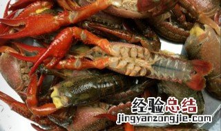 龙虾洗好怎么保存 龙虾洗好的保存方法
