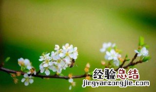 惊蛰太阳直射纬度 惊蛰太阳直射点