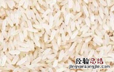 怎么保存米饭 怎么保存米
