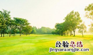 优美写景作文300字 优美写景作文300字高中