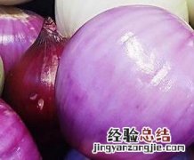 葱头的功效与作用害处 葱头的功效与作用