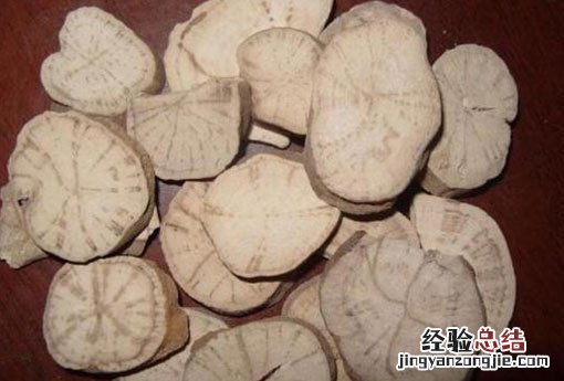 防己 防己黄芪汤的功效与作用