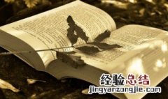 遭白匪追逐主要内容 遭白匪追逐主要内容概括