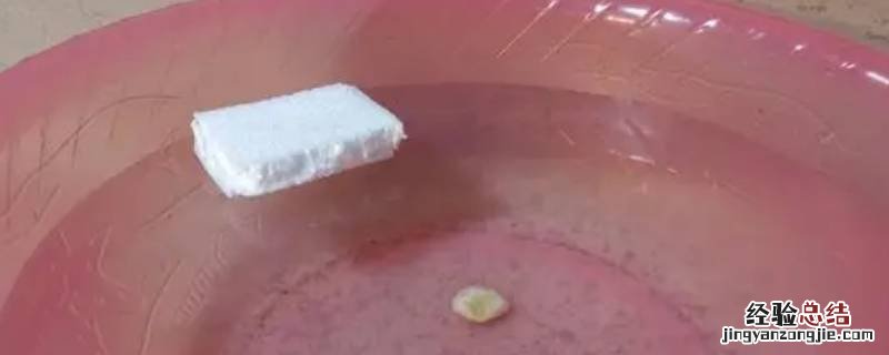 泡沫为什么会浮在水面上 泡沫为什么会浮在水面上的科学实验