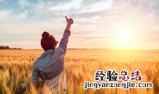 关于阳光的治愈文案 干净治愈阳光的文案