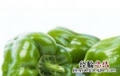 柿子椒的功效与作用 柿子椒的功效与作用及禁忌