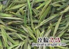 白茶毛尖是绿茶吗 白毛尖属于绿茶吗