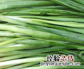 吃韭菜的好处有哪些 吃韭菜的好处有哪些禁忌