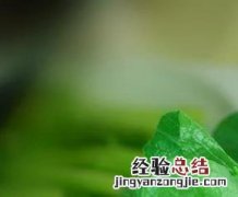 白灼菜心怎么做好吃 菜心怎么做好吃
