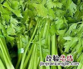 常吃芹菜可以预防什么疾病 芹菜能治病