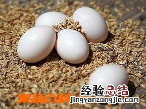 鸽子蛋的功效与作用及营养 鸽子蛋的功效与作用
