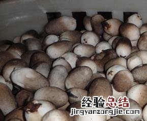 鲜虫草菇的功效与作用 草菇的功效与作用