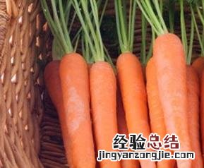 胡萝卜的营养价值及功效