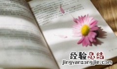 lost怎么读 lost如何读
