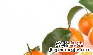 芦柑是上火的还是降火的 芦柑是上火的还是去火的