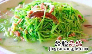 豆苗瘦肉汤如何做的 豆苗瘦肉汤如何做