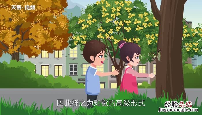 观察的意思 狡猾和观察的意思