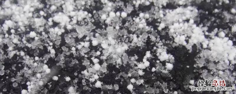 冬天下的雪米子叫什么 雪米子是什么