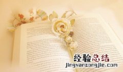 服务行业是什么意思 服务行业啥意思