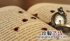 粗枝大叶的什么 粗枝大叶是什么意思