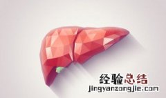 肝不好吃什么可以养肝护肝 什么食物对肝有好处