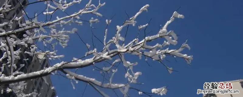 三四度会下雪吗 3度会不会下雪