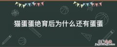 为什么猫绝育了还有蛋蛋 猫蛋蛋绝育后为什么还有蛋蛋