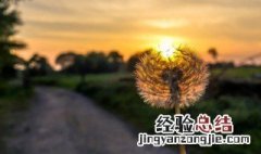 感悟人生缘分情感语录 人生缘分感悟的句子