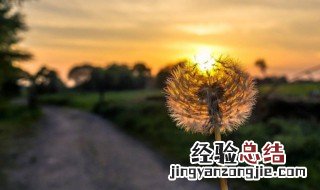感悟人生缘分情感语录 人生缘分感悟的句子