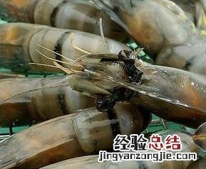小白海虾怎么做好吃 海虾怎么做好吃