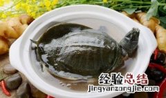 孕妇吃甲鱼的烹饪方法 孕妇吃甲鱼怎么做好吃