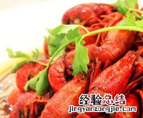 龙虾的营养价值与功效作用 龙虾的营养价值与功效