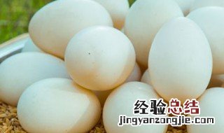 煮鸭蛋正确方法 怎么煮鸭蛋