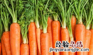 蔬菜丁小圆饼的做法 蔬菜丁小圆饼的做法大全