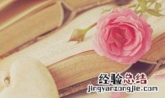 慈乌反哺是什么意思解释 慈乌反哺是什么意思