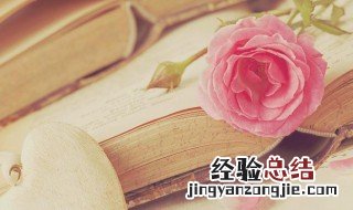 慈乌反哺是什么意思解释 慈乌反哺是什么意思